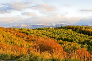 Colorado, fall foliage